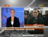 Narkotik k�pekler i�ba�� yapt�!